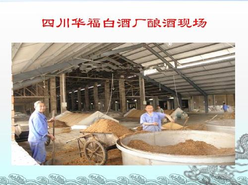 匠心釀造 探訪四川華福白酒廠的生產現場