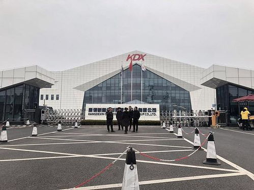 表情 資金危機下的康得新 賬上150億現金卻還不起15億債券 表情