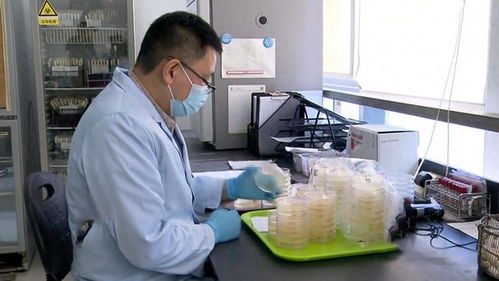 17年上海3人吃蛋糕,一死一傷一人卻沒事,報警調查發現不簡單