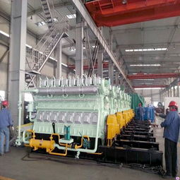 濰坊生物質(zhì)發(fā)電機(jī)組 重能動(dòng)力解決方案與財(cái)務(wù)咨詢