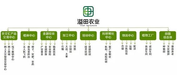 溢田農(nóng)業(yè) 現(xiàn)代供應鏈管理與財務咨詢雙輪驅(qū)動的創(chuàng)新實踐